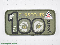Cub Scouts 100 Years [CA MISC 22b]